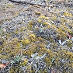 Unverified at suppressed - suppressed