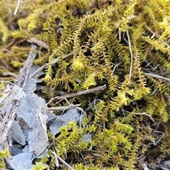 Unverified at suppressed - suppressed