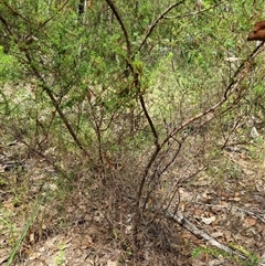 Unverified at suppressed - suppressed