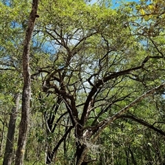 Unverified at suppressed - suppressed