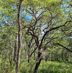 Unverified at suppressed - suppressed