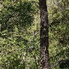 Unverified at suppressed - suppressed