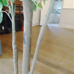 Unverified at suppressed - suppressed