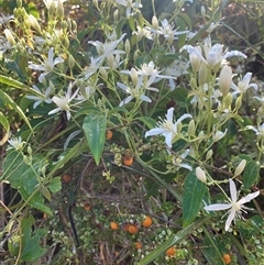 Unverified at suppressed - suppressed