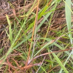 Unverified at suppressed - suppressed