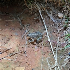 Unverified at suppressed - suppressed