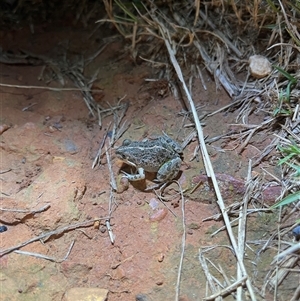 Unverified at suppressed - suppressed