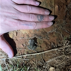 Unverified at suppressed - suppressed