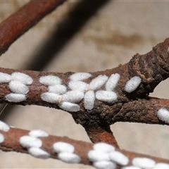 Unverified at suppressed - suppressed