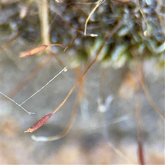 Unverified at suppressed - suppressed