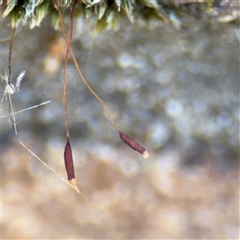 Unverified at suppressed - suppressed