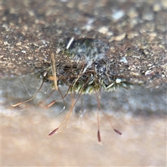 Unverified at suppressed - suppressed