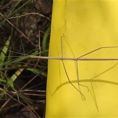 Unverified at suppressed - suppressed