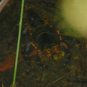 Unverified at suppressed - suppressed