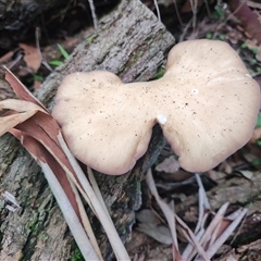 Unverified at suppressed - suppressed