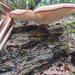 Unverified at suppressed - suppressed