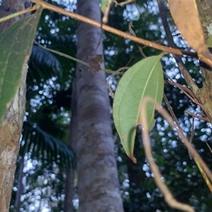 Unverified at suppressed - suppressed