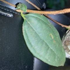 Unverified at suppressed - suppressed