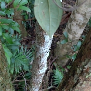 Unverified at suppressed - suppressed