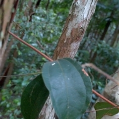 Unverified at suppressed - suppressed