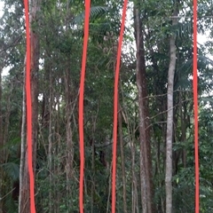 Unverified at suppressed - suppressed