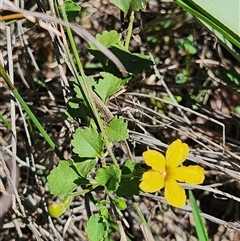 Unverified at suppressed - suppressed