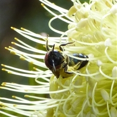 Unverified at suppressed - suppressed