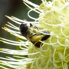 Unverified at suppressed - suppressed