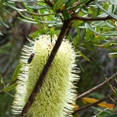 Unverified at suppressed - suppressed