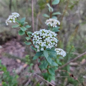 Unverified at suppressed - suppressed