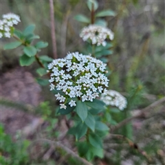 Unverified at suppressed - suppressed