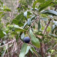 Unverified at suppressed - suppressed