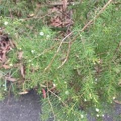 Unverified at suppressed - suppressed