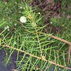 Unverified at suppressed - suppressed