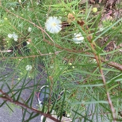 Unverified at suppressed - suppressed