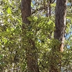 Unverified at suppressed - suppressed