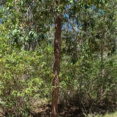 Unverified at suppressed - suppressed