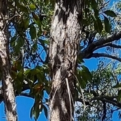 Unverified at suppressed - suppressed