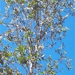 Unverified at suppressed - suppressed