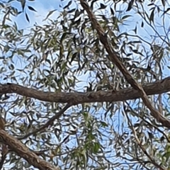 Unverified at suppressed - suppressed