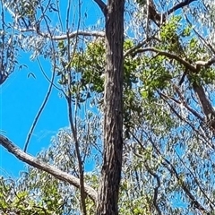 Unverified at suppressed - suppressed