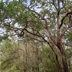 Unverified at suppressed - suppressed