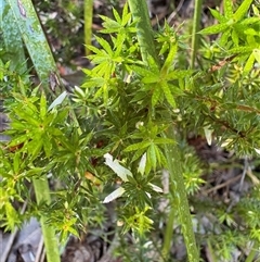 Unverified at suppressed - suppressed