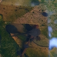 Unverified at suppressed - suppressed