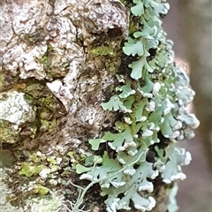 Unverified at suppressed - suppressed