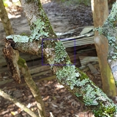 Unverified at suppressed - suppressed