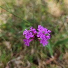 Unverified at suppressed - suppressed