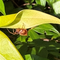 Unverified at suppressed - suppressed