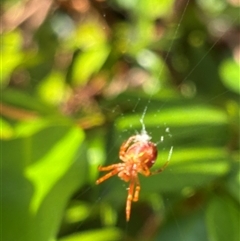 Unverified at suppressed - suppressed