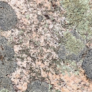 Unverified at suppressed - suppressed